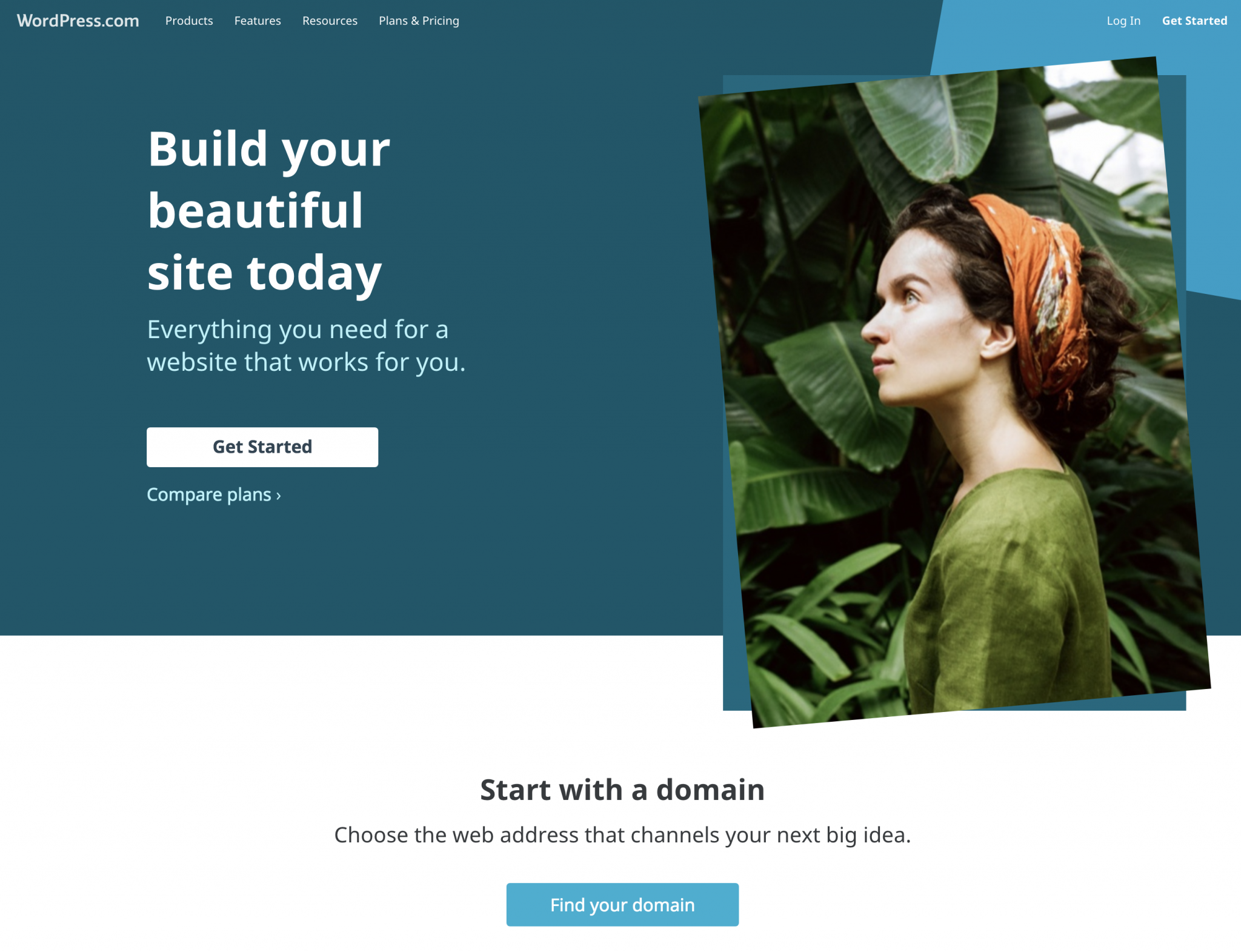 Wordpress website free